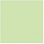 Rosco E-Colour PLUS GREEN  #244 - Rolka