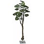 EUROPALMS Drzewo pothos, sztuczna roślina, 175 cm