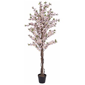 EUROPALMS Sztuczne drzewko wiśniowe z 3 pniami, różowe, 150 cm 1/2